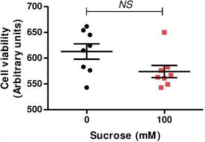 Hyperosmolarity Impairs Human Extravillous Trophoblast Differentiation by Caveolae Internalization